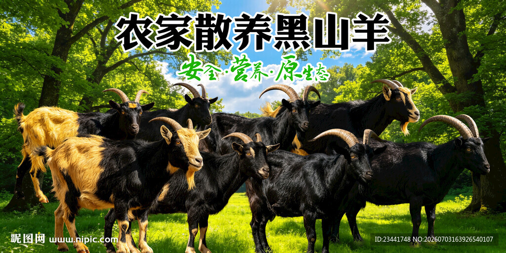 黑山羊海报