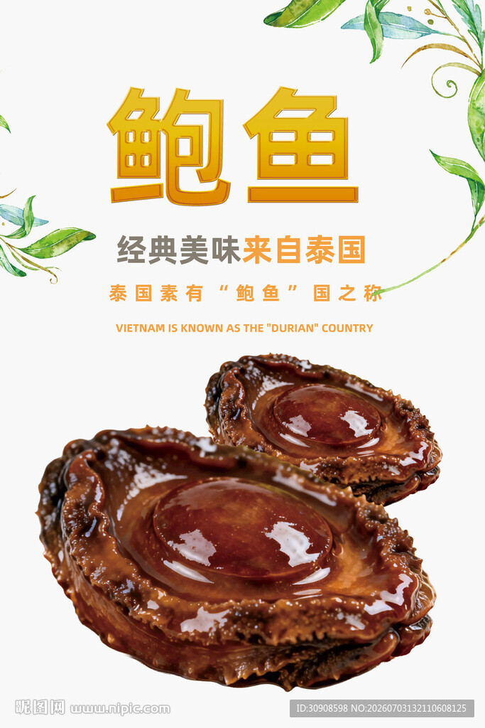 鲍鱼