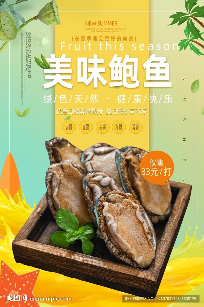 鲍鱼