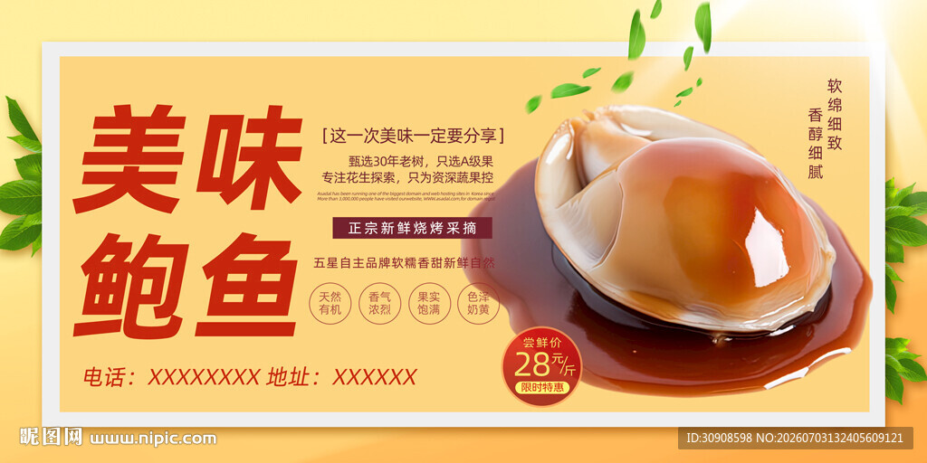 鲍鱼