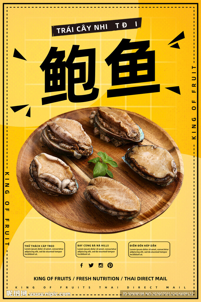 鲍鱼