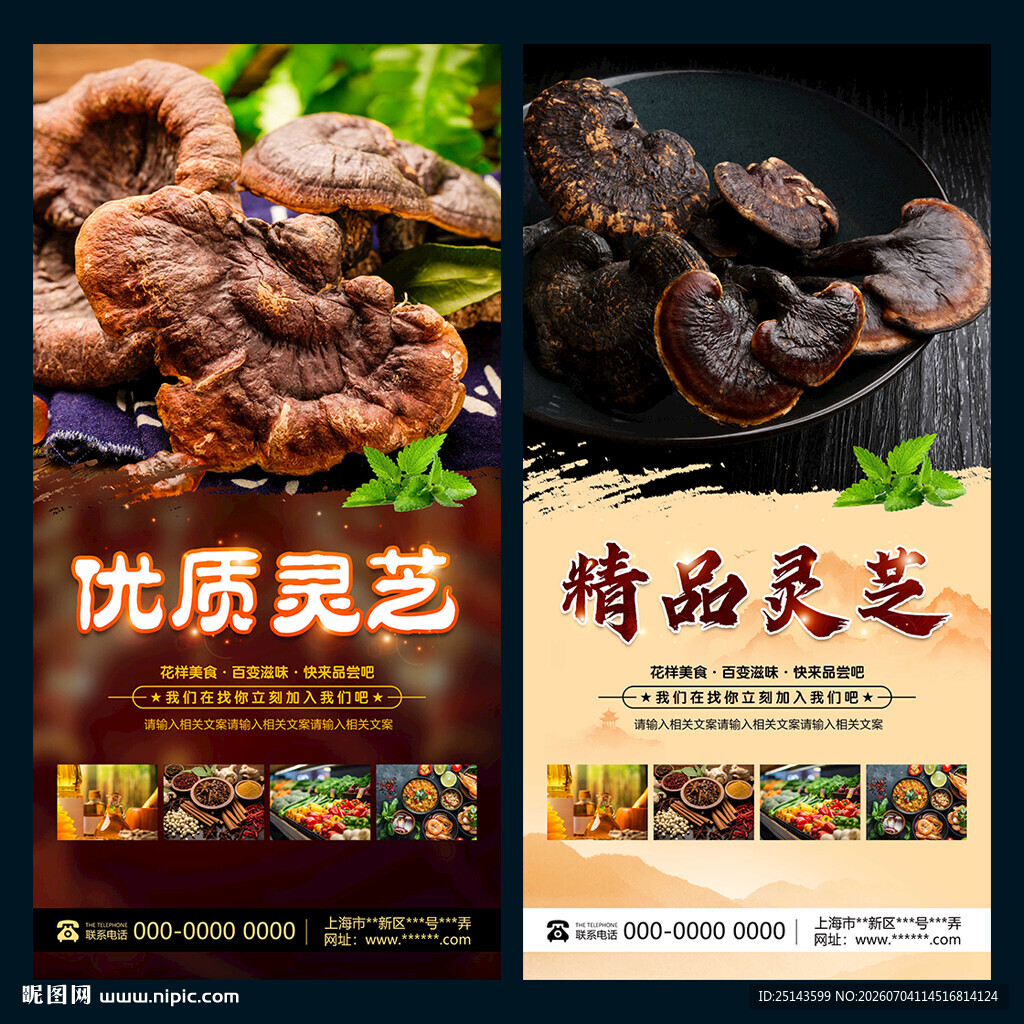 灵芝