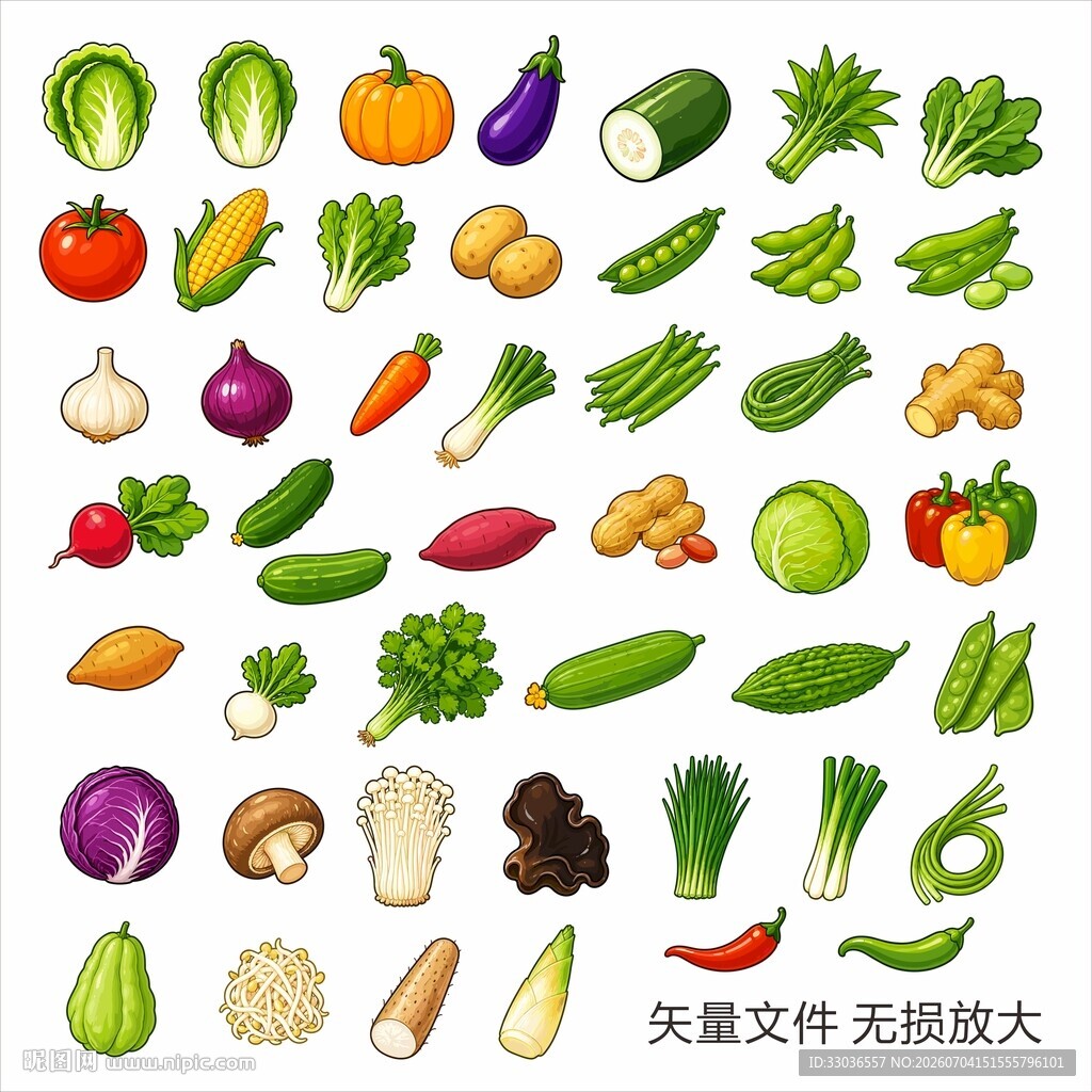 多样蔬菜集合展示