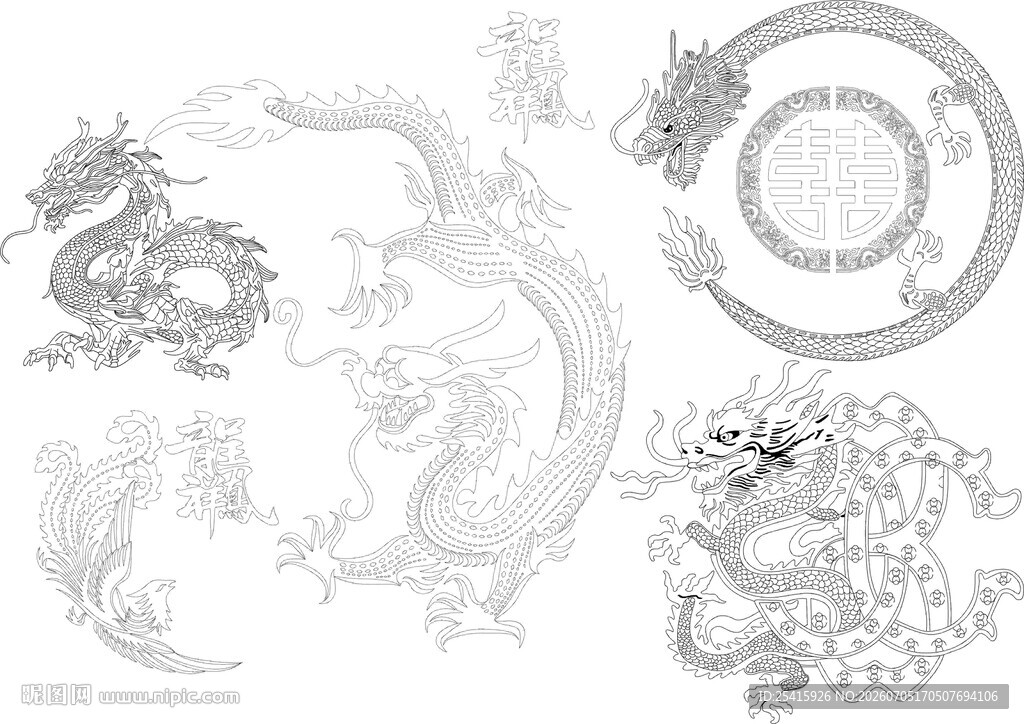 金龙线条