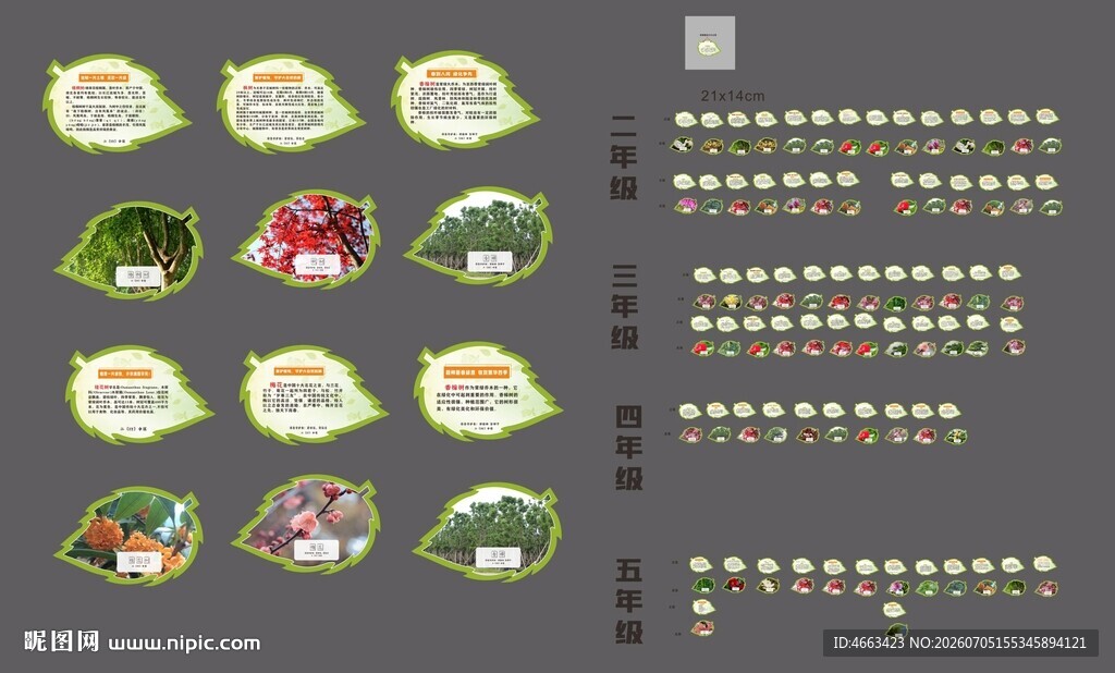 学校树木挂牌