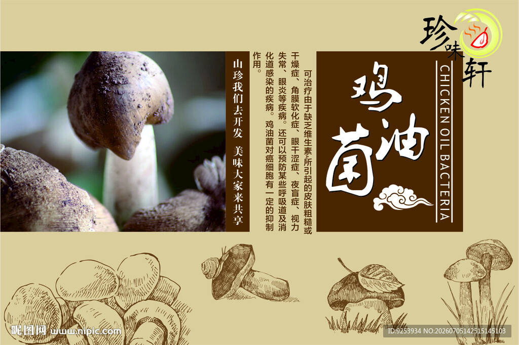 珍稀鸡油菌 自然之馈赠