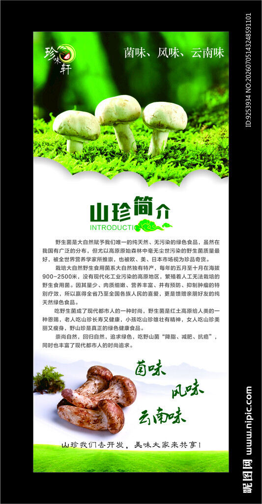 绿色有机野山菌