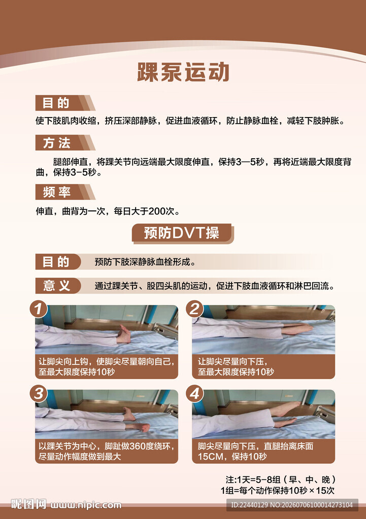 踝泵运动