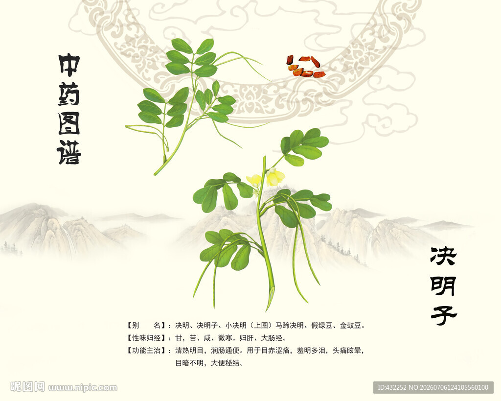 中药材决明子展示图