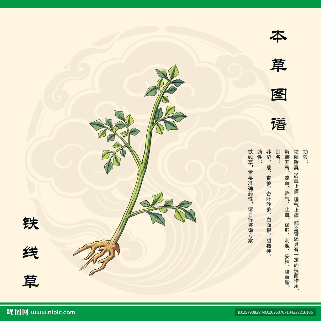 铁线草植物图示