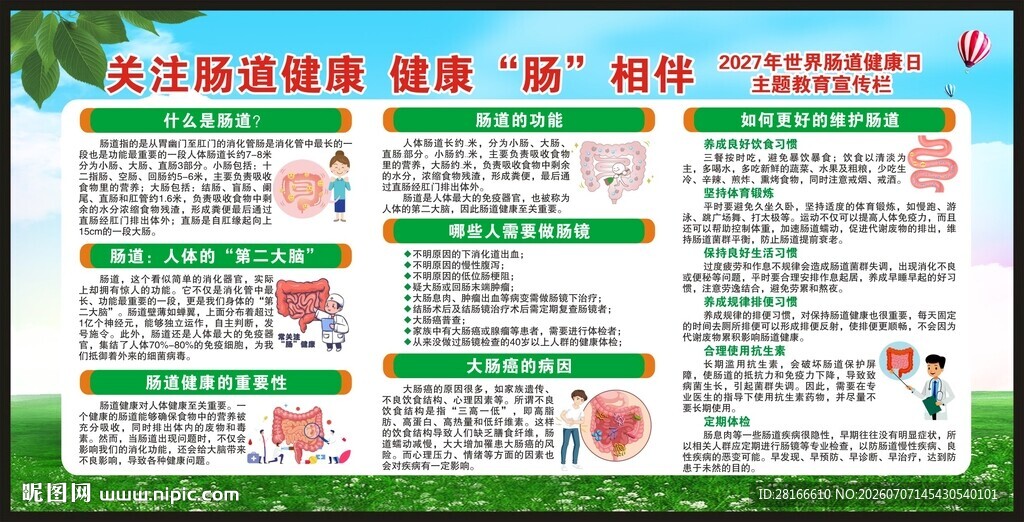 世界肠道健康日宣传栏
