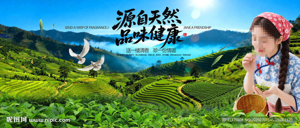 茶海报