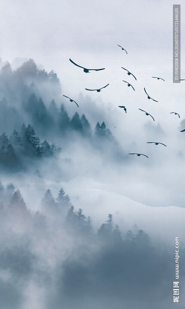 云雾山林间飞鸟美景