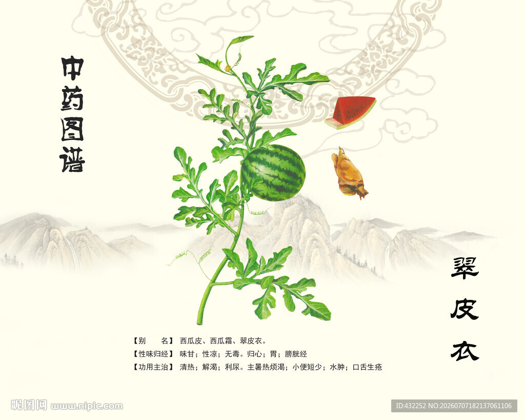 中药翠皮衣
