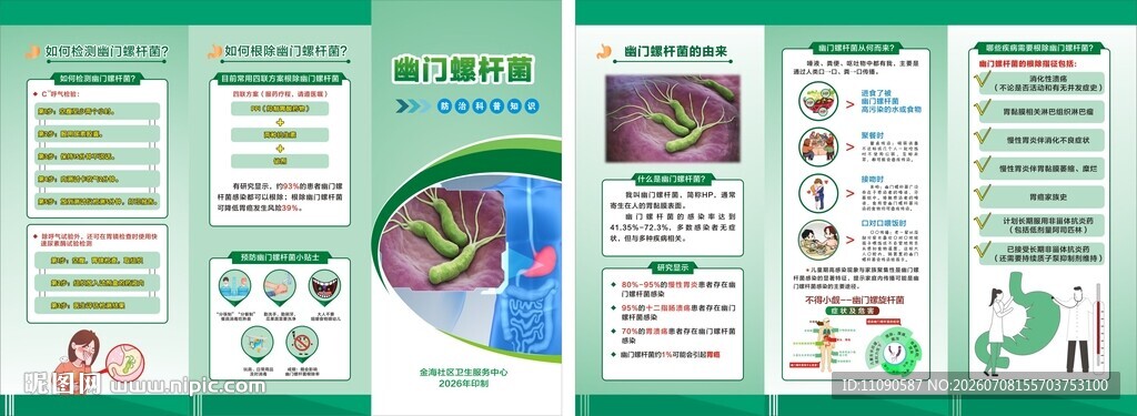 幽门螺旋杆菌折页