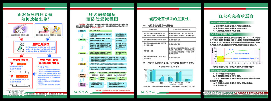 狂犬病暴露处置流程