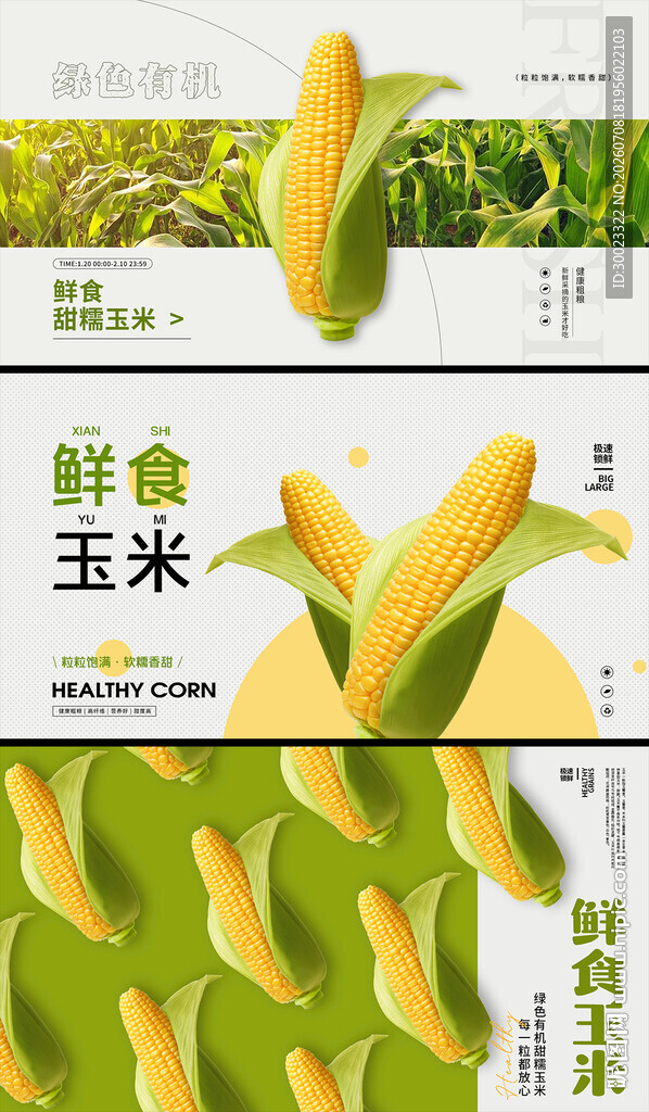 玉米海报横图