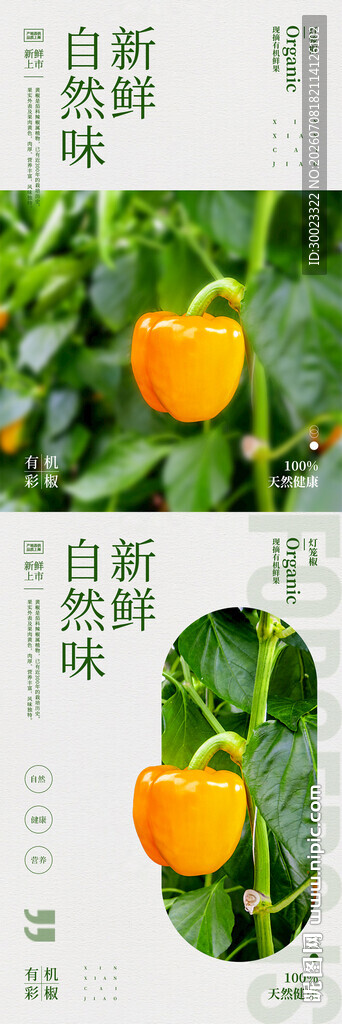 辣椒海报