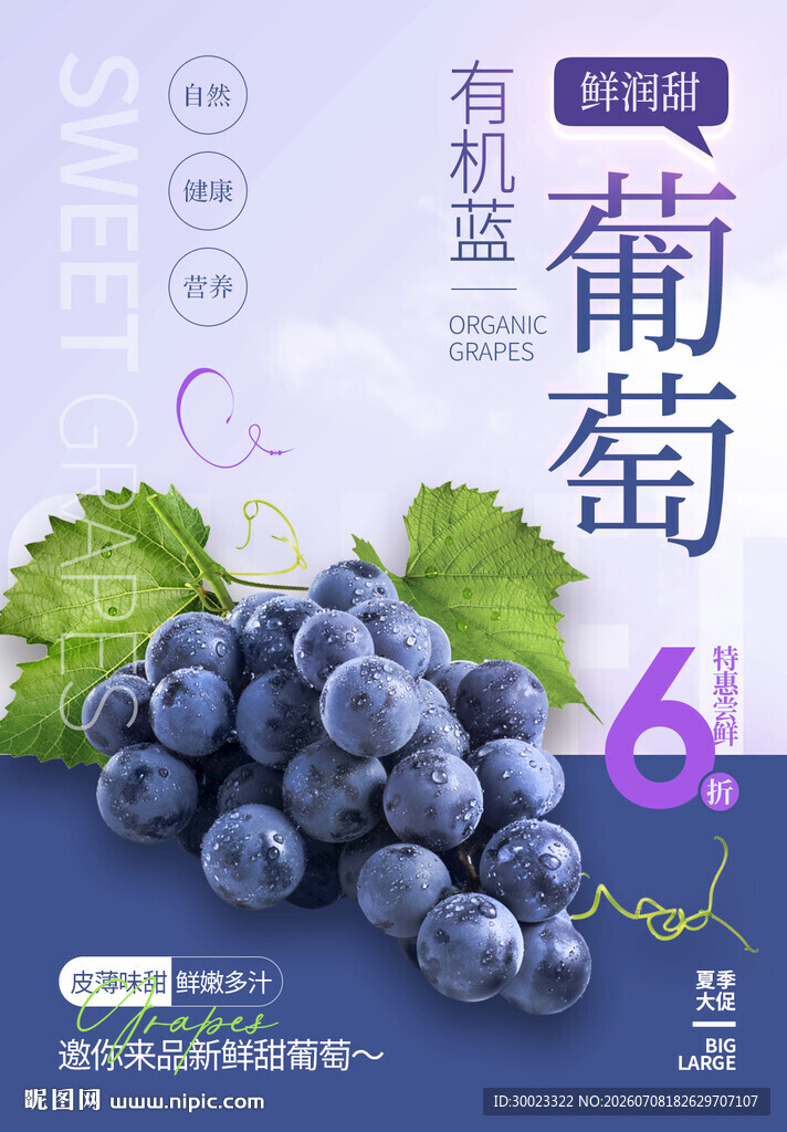 葡萄海报