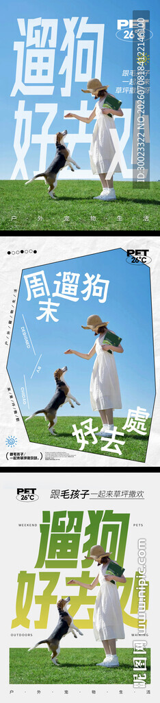 户外活动遛狗海报