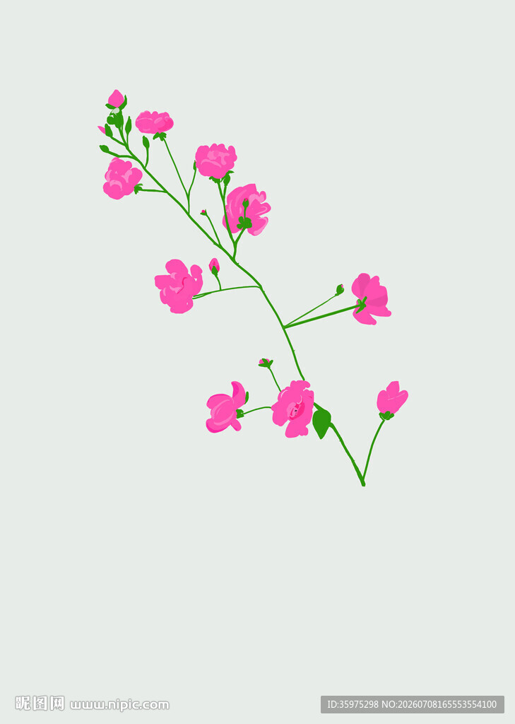 粉色小花枝插画