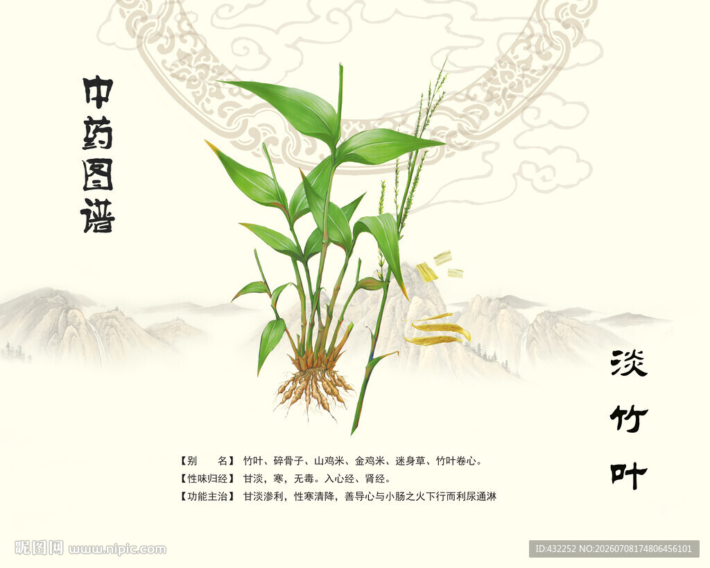 中药材淡竹叶展示图