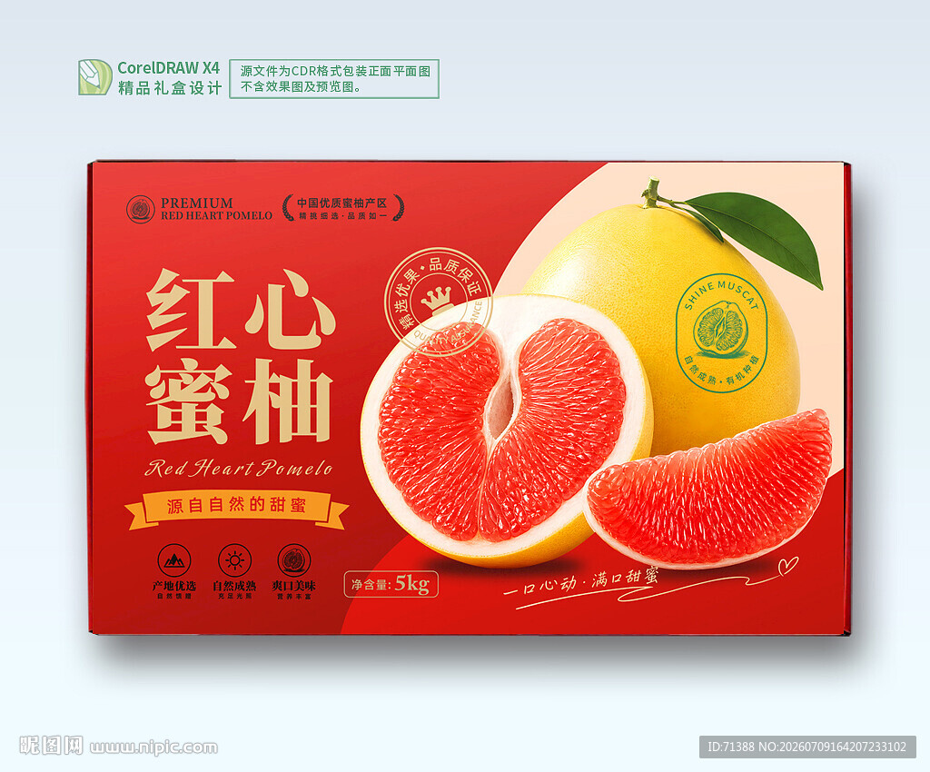 柚子包装 红心蜜柚礼盒