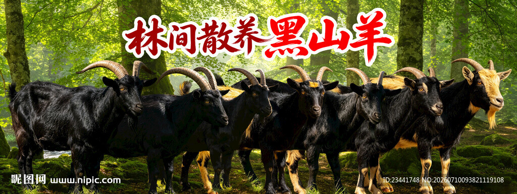 黑山羊