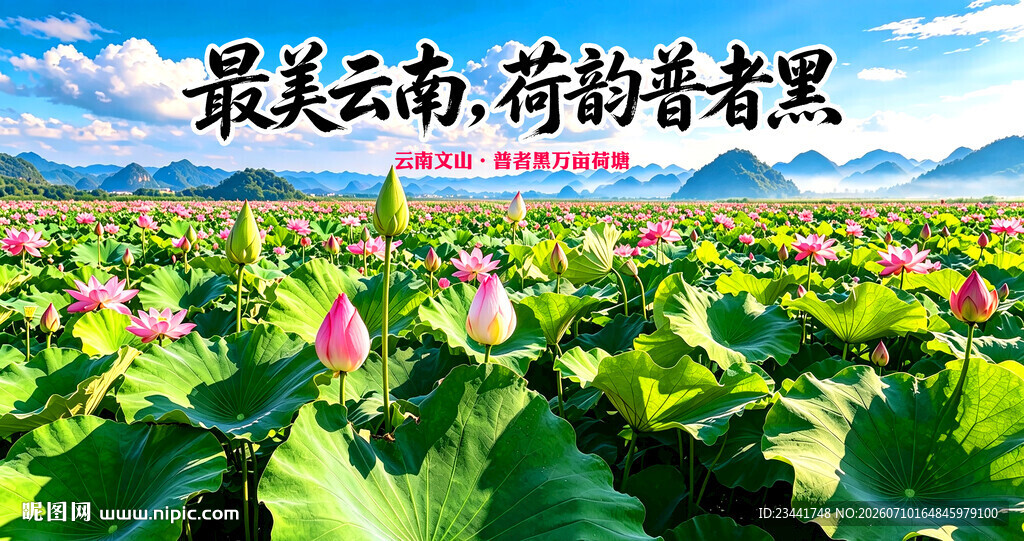 荷花节