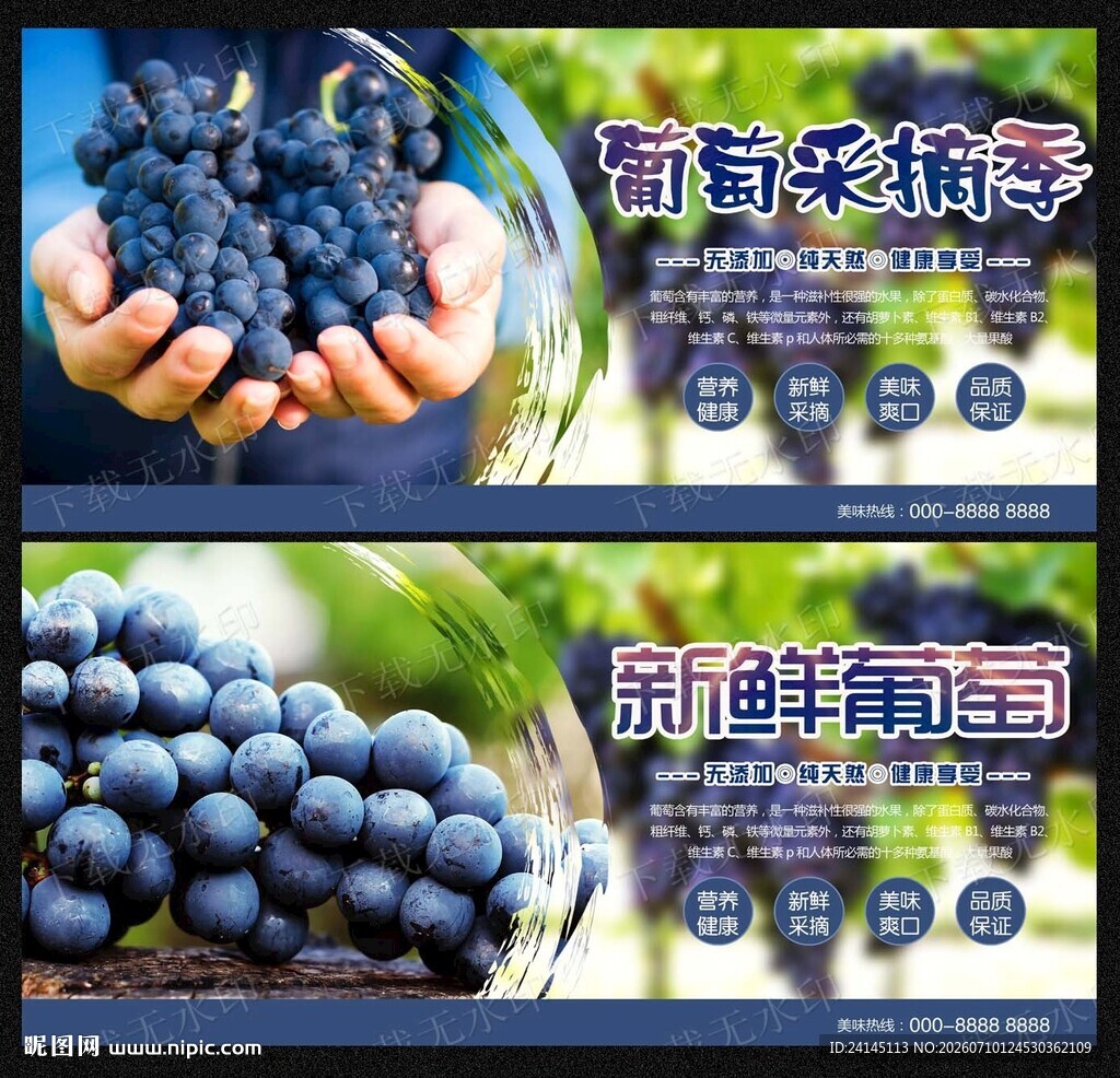 葡萄