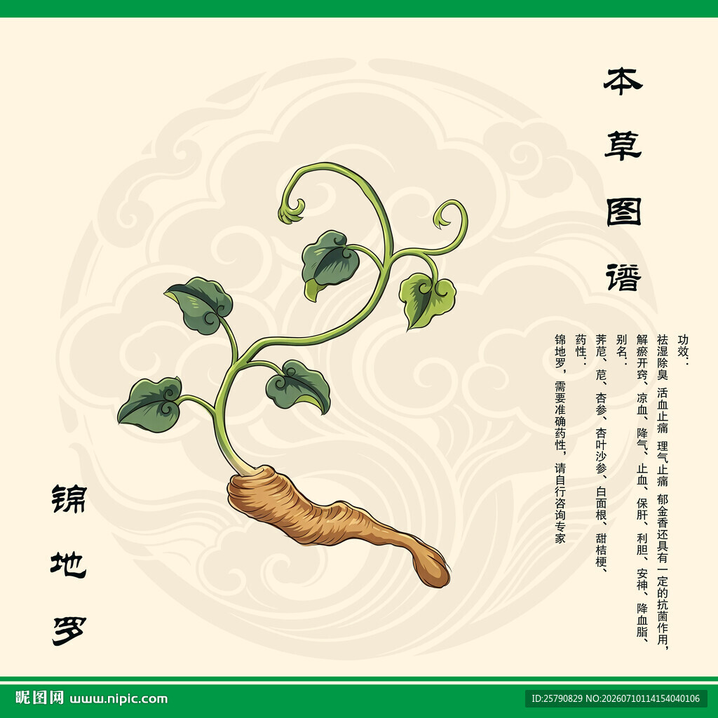 锦地罗草图示