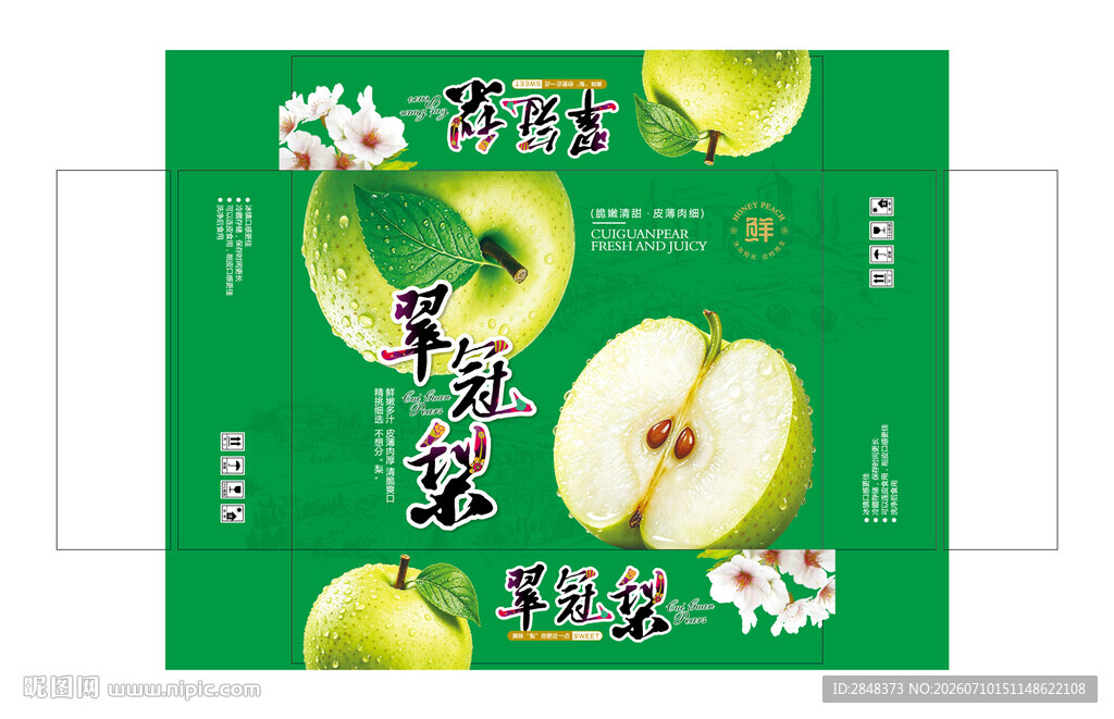 翠冠梨平面展开图