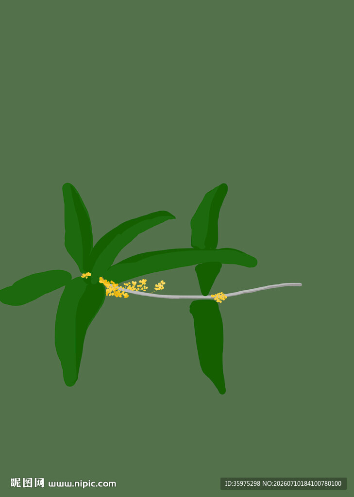 绿叶间的桂花