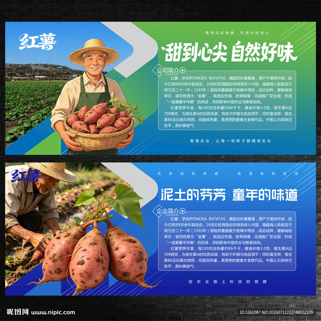 红薯