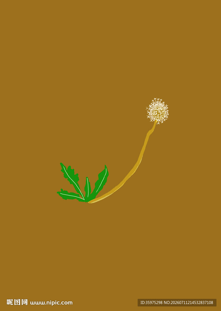 手绘简约黄色蒲公英花朵