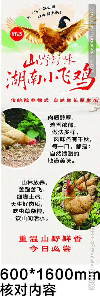滋补炖鸡食材套餐宣传图