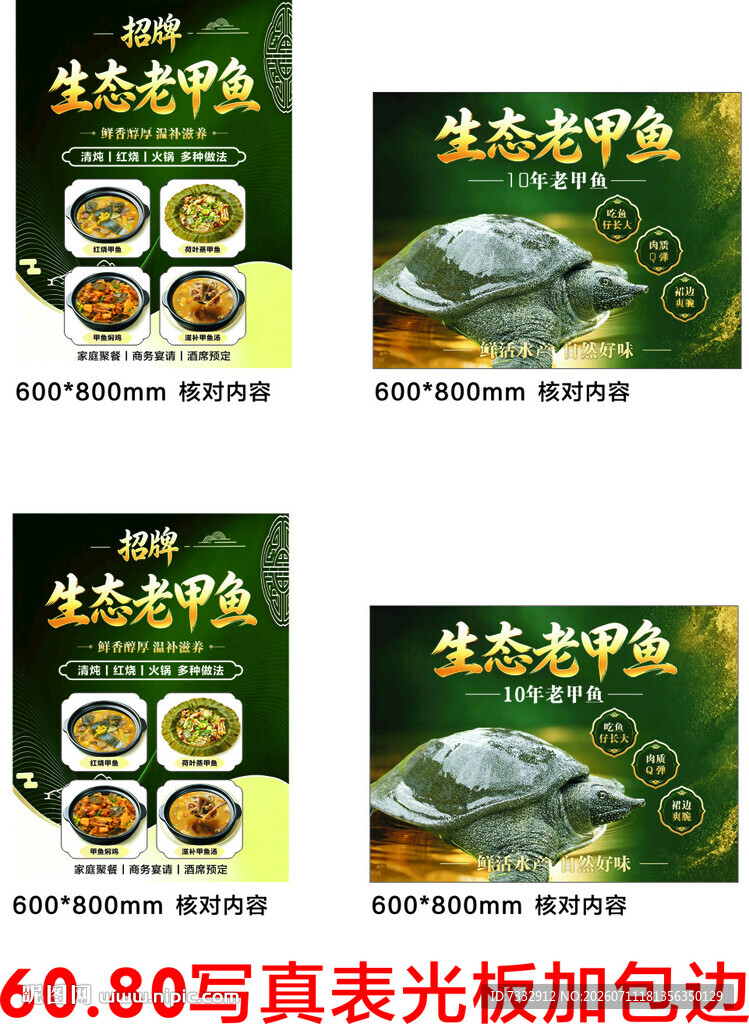 生态甲鱼写真海报设计素材