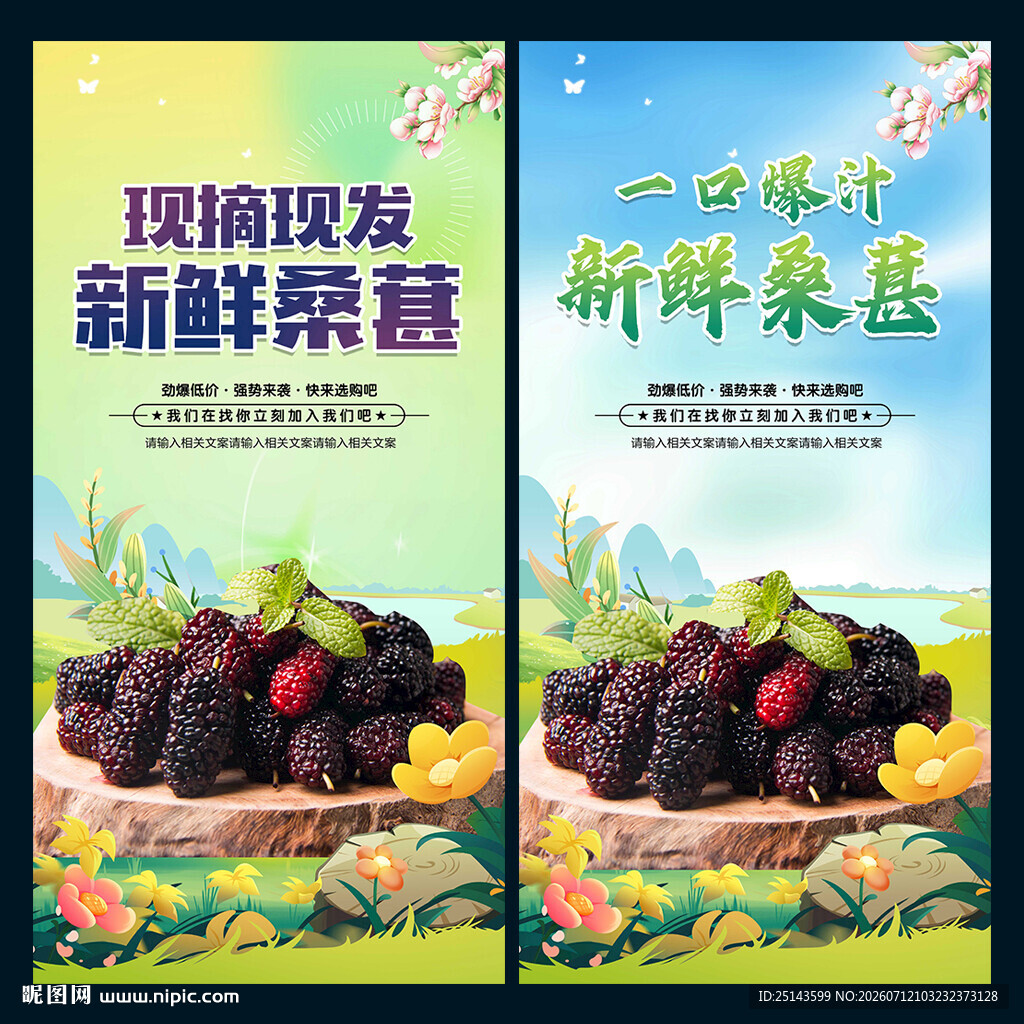 桑葚