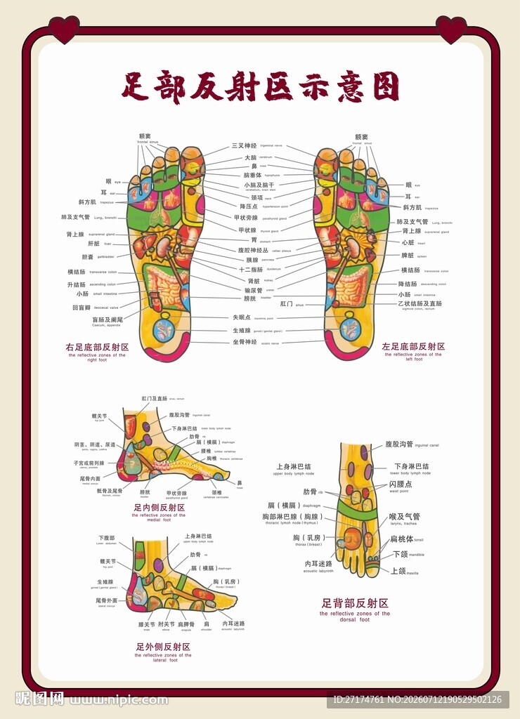 足部反射区示意图