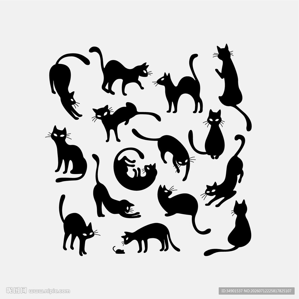 猫
