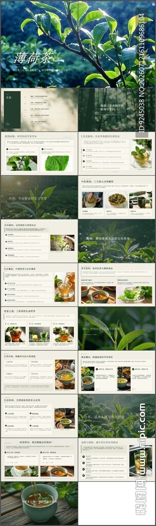 芳香精灵薄荷茶文化ppt