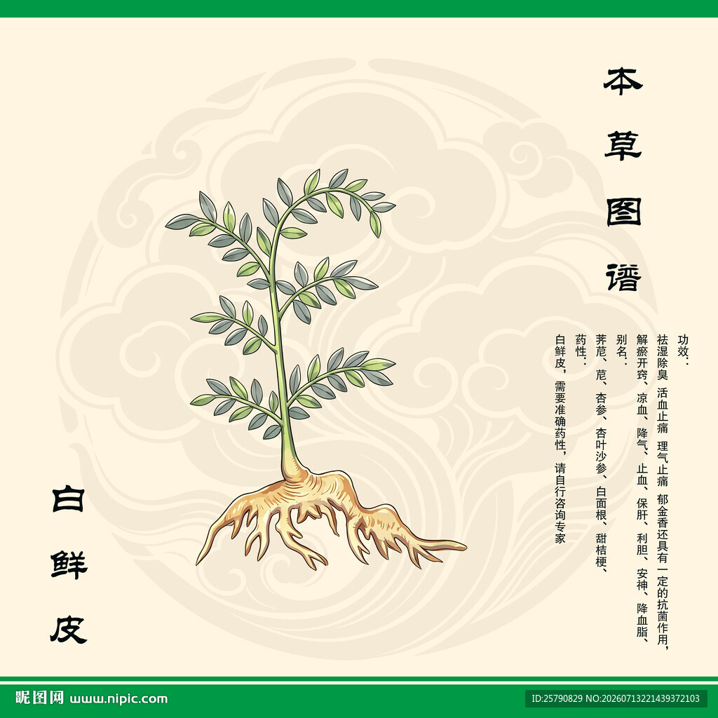 白鲜皮草药图示