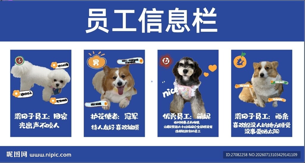 宠物员工信息展示栏