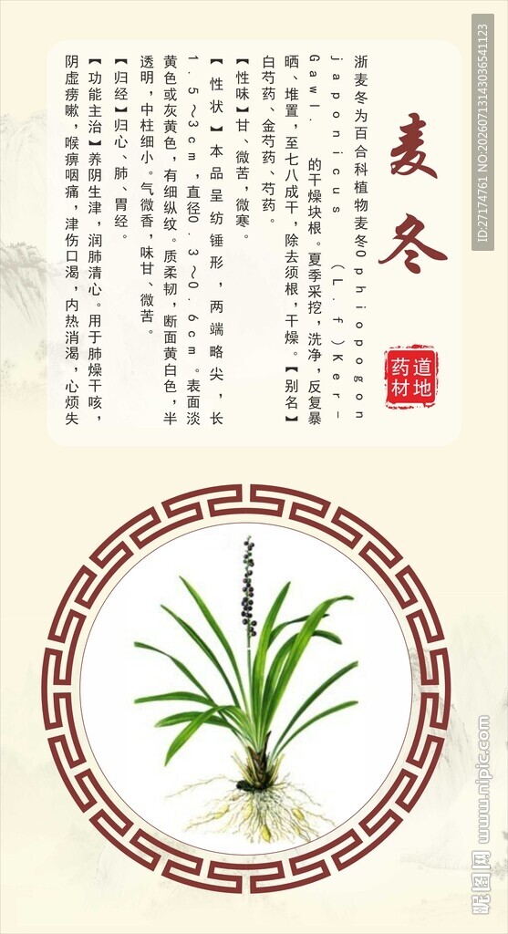 浙八味麦冬海报