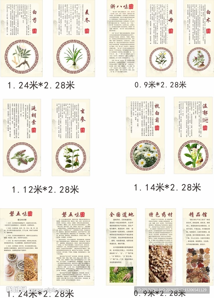 道地药材浙八味磐五味