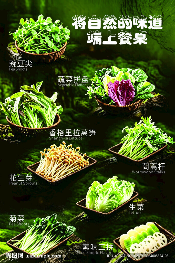 各类鲜嫩蔬菜美味呈现