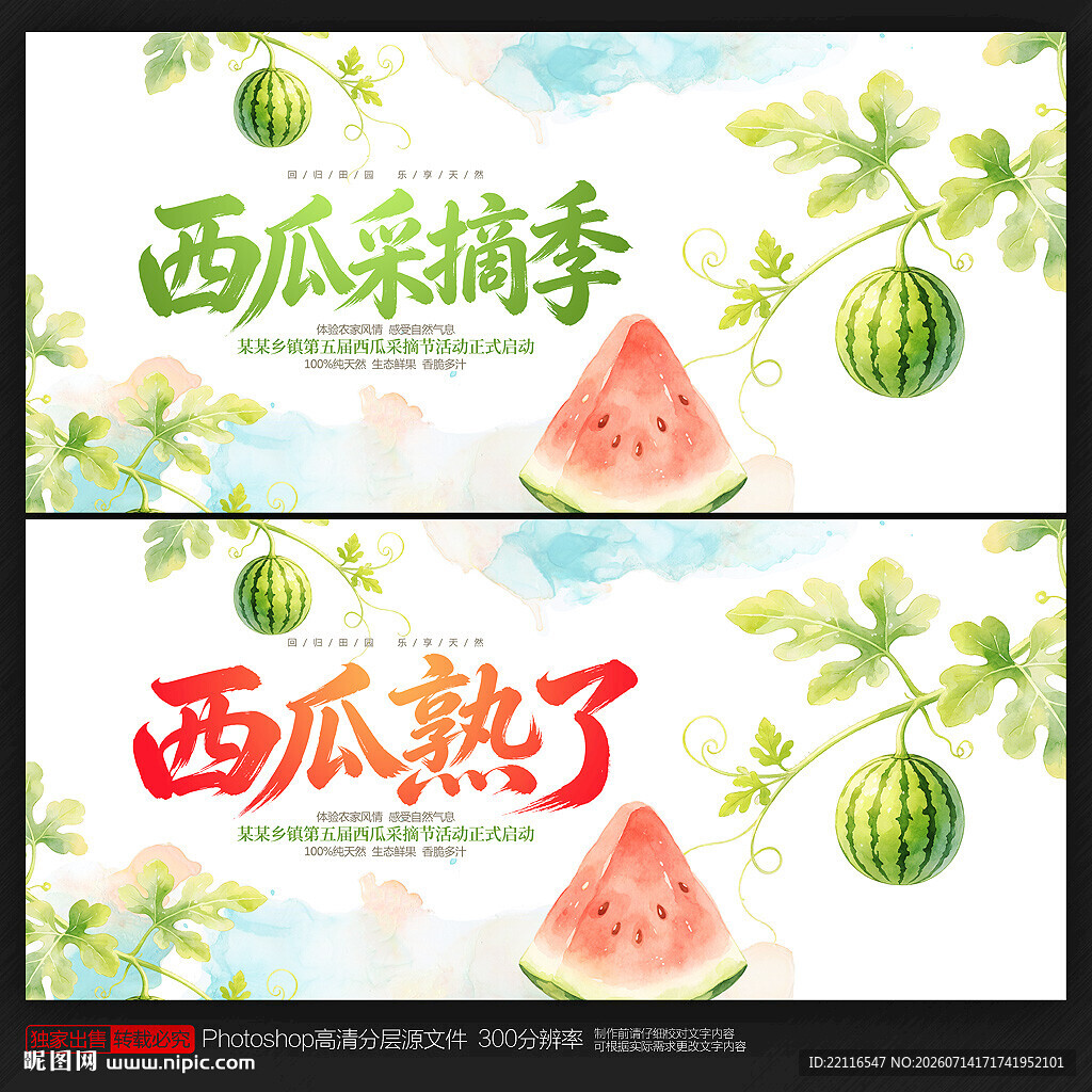 西瓜采摘节