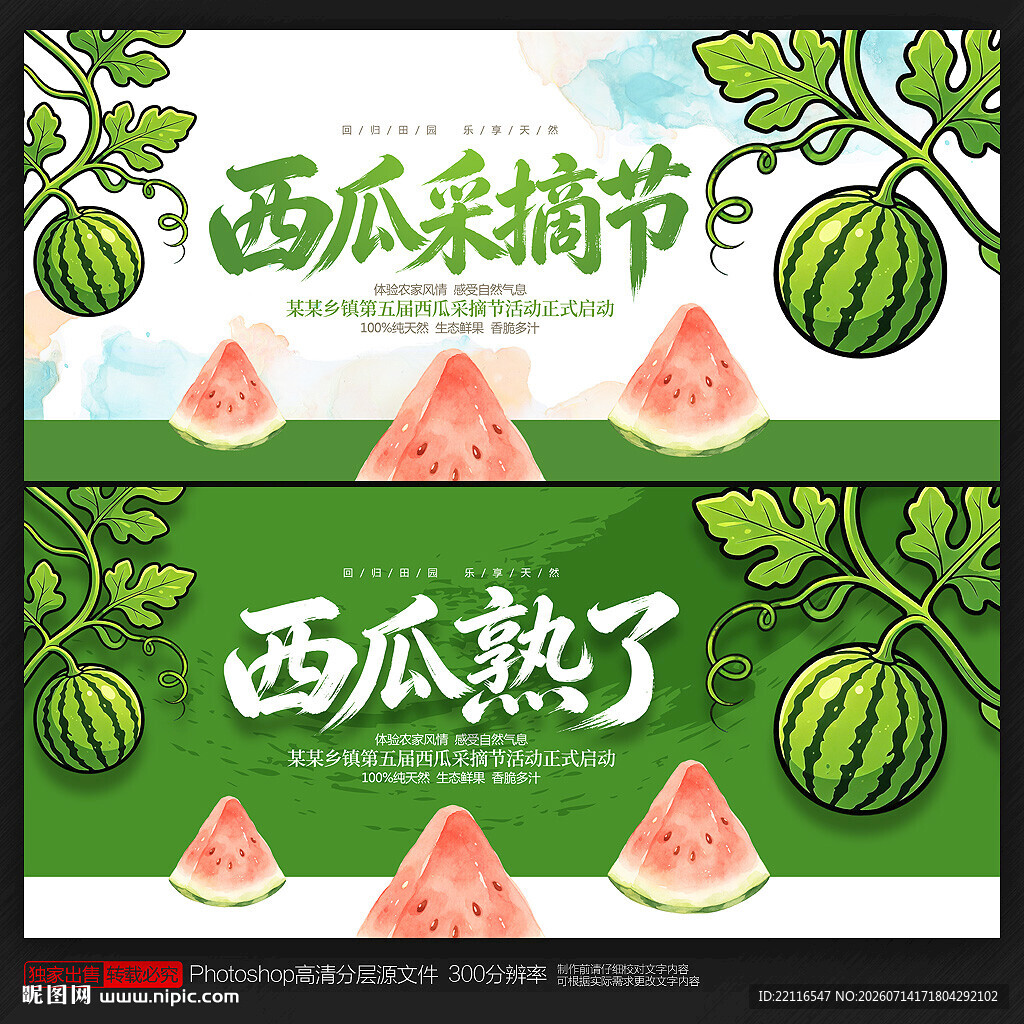 西瓜采摘节