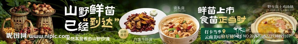 野生菌海报