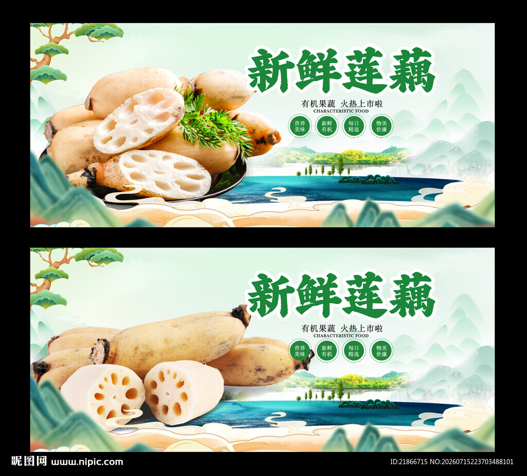 莲藕